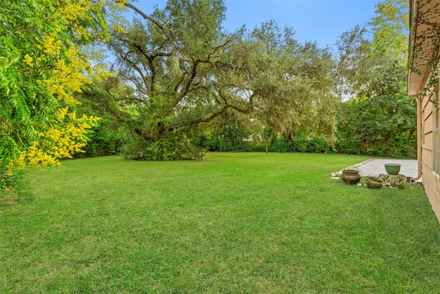 a view of yard with green space