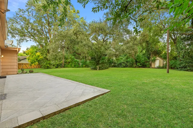 a view of a park with large trees