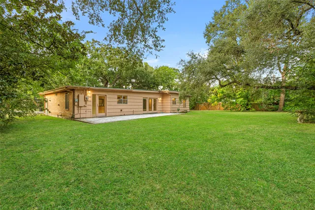 a very nice looking yard with a large tree