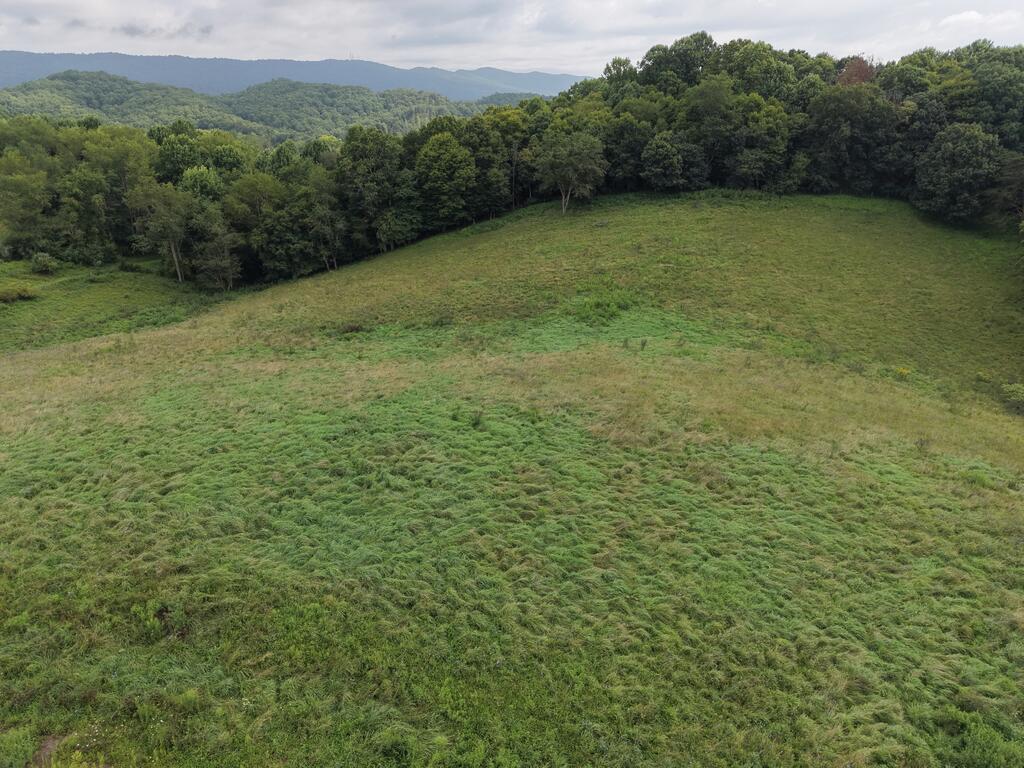 458 Shale Bank Road Marion, VA 24354 - Photo 16 of 115 Gallery Image 16