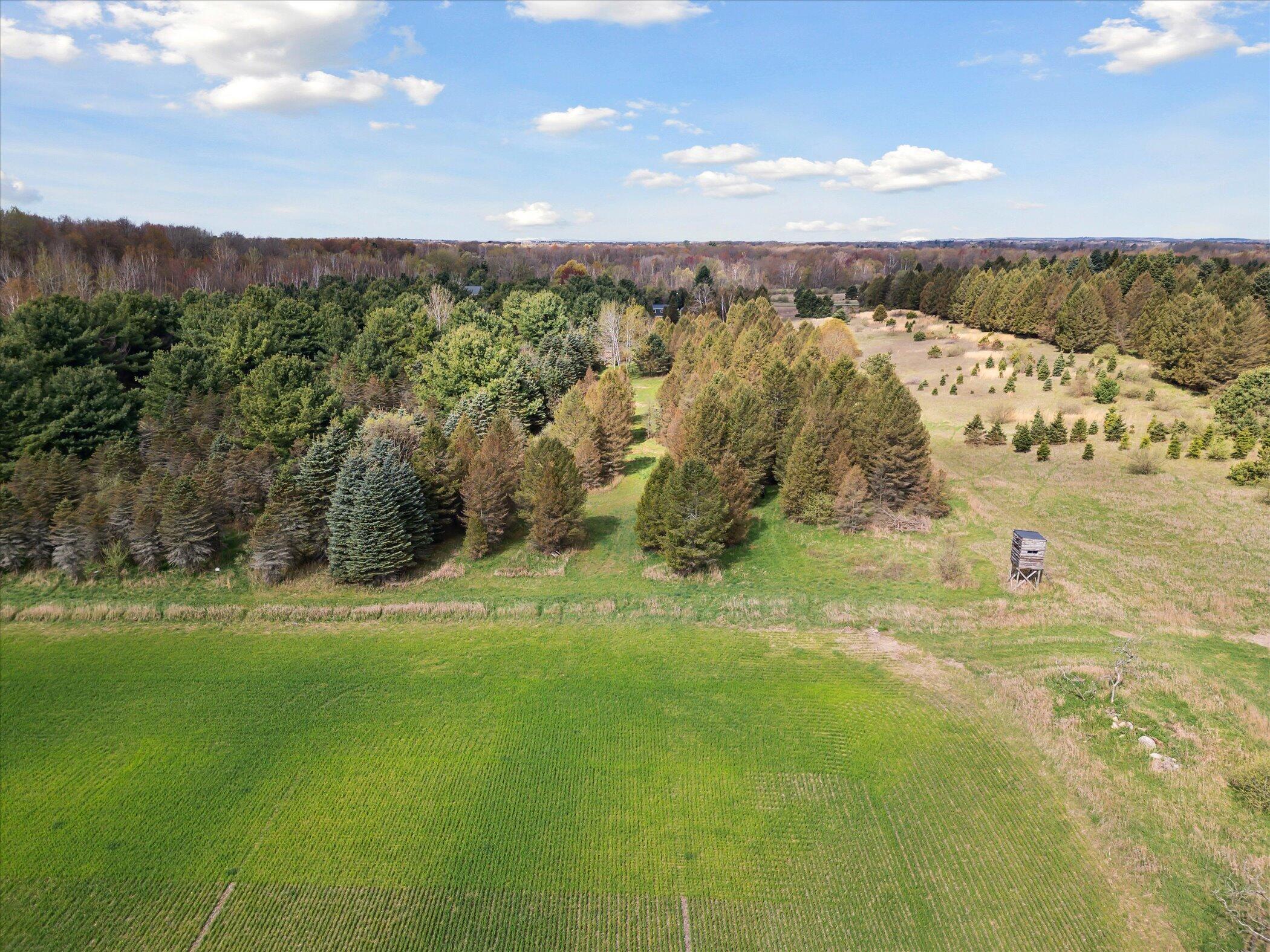 1366 Grow Road Northwest Stanton, MI 48888 - Photo 38 of 48 60-1366-Grow-Rd-NW-Stanton-MI-48888-Wind
