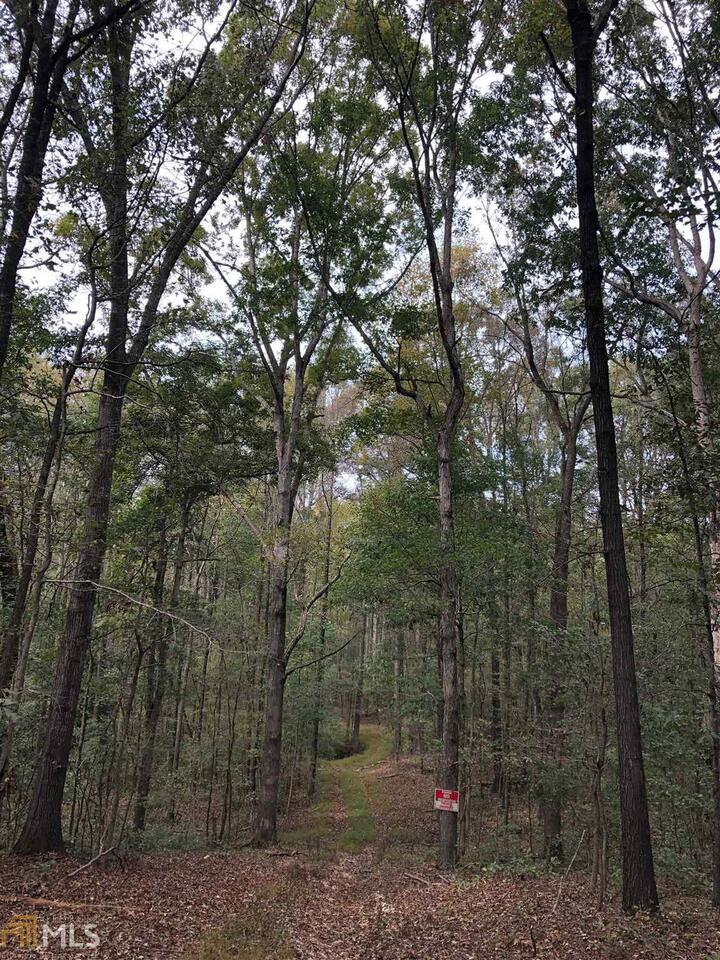 0 Lavonia Road Carnesville, GA 30521 - Photo 1 of 1