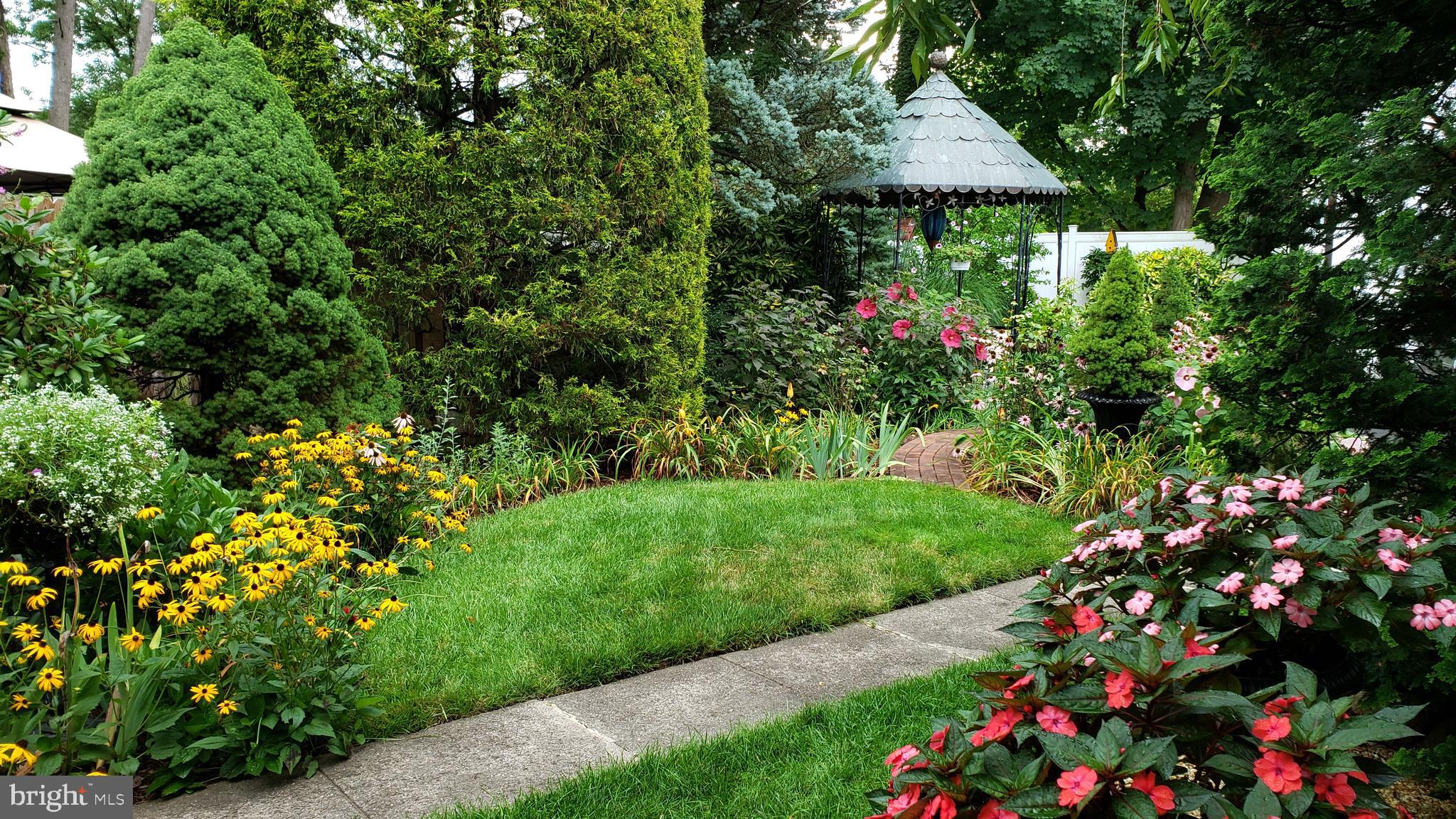 116 Renfrew Avenue Trenton, NJ 08618 - Photo 12 of 36 Perennial Flower Garden & walk from the Driveway
