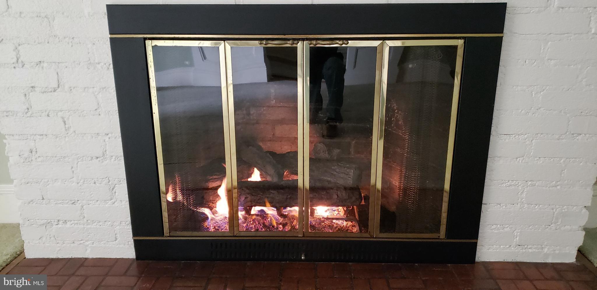 116 Renfrew Avenue Trenton, NJ 08618 - Photo 22 of 36 Fireplace