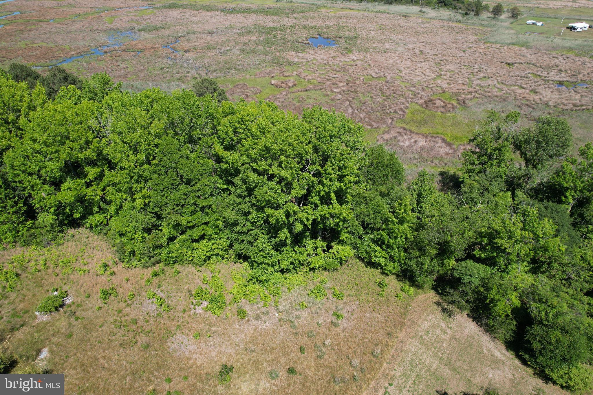 228 Fishhook Lane Deal Island, MD 21821 - Photo 1 of 10