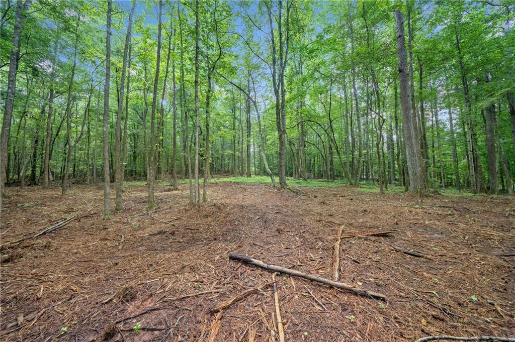 230 Brock Trail Milton, GA 30004 - Photo 3 of 27 a view of outdoor space with trees