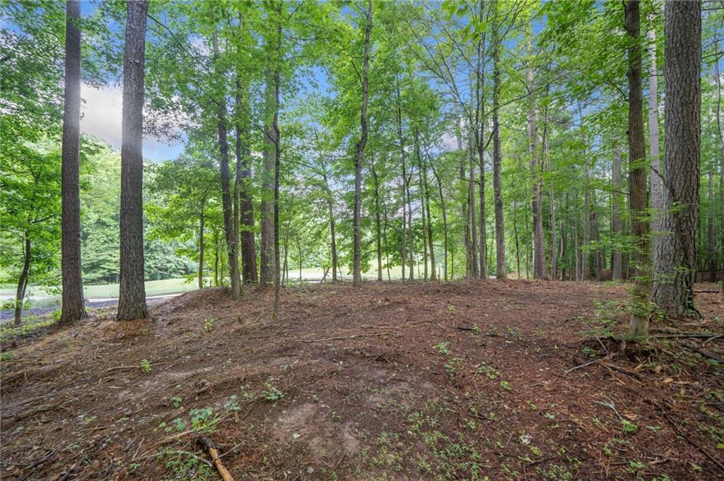 230 Brock Trail Milton, GA 30004 - Photo 5 of 27 a view of outdoor space and trees