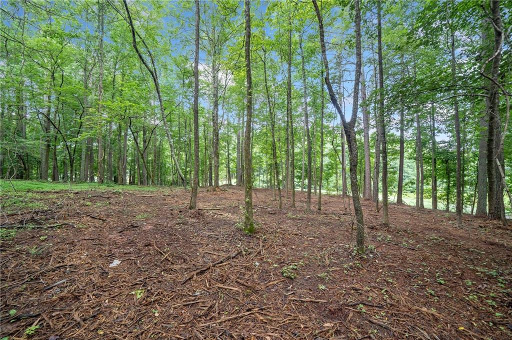 230 Brock Trail Milton, GA 30004 - Photo 8 of 27 a view of outdoor space and trees