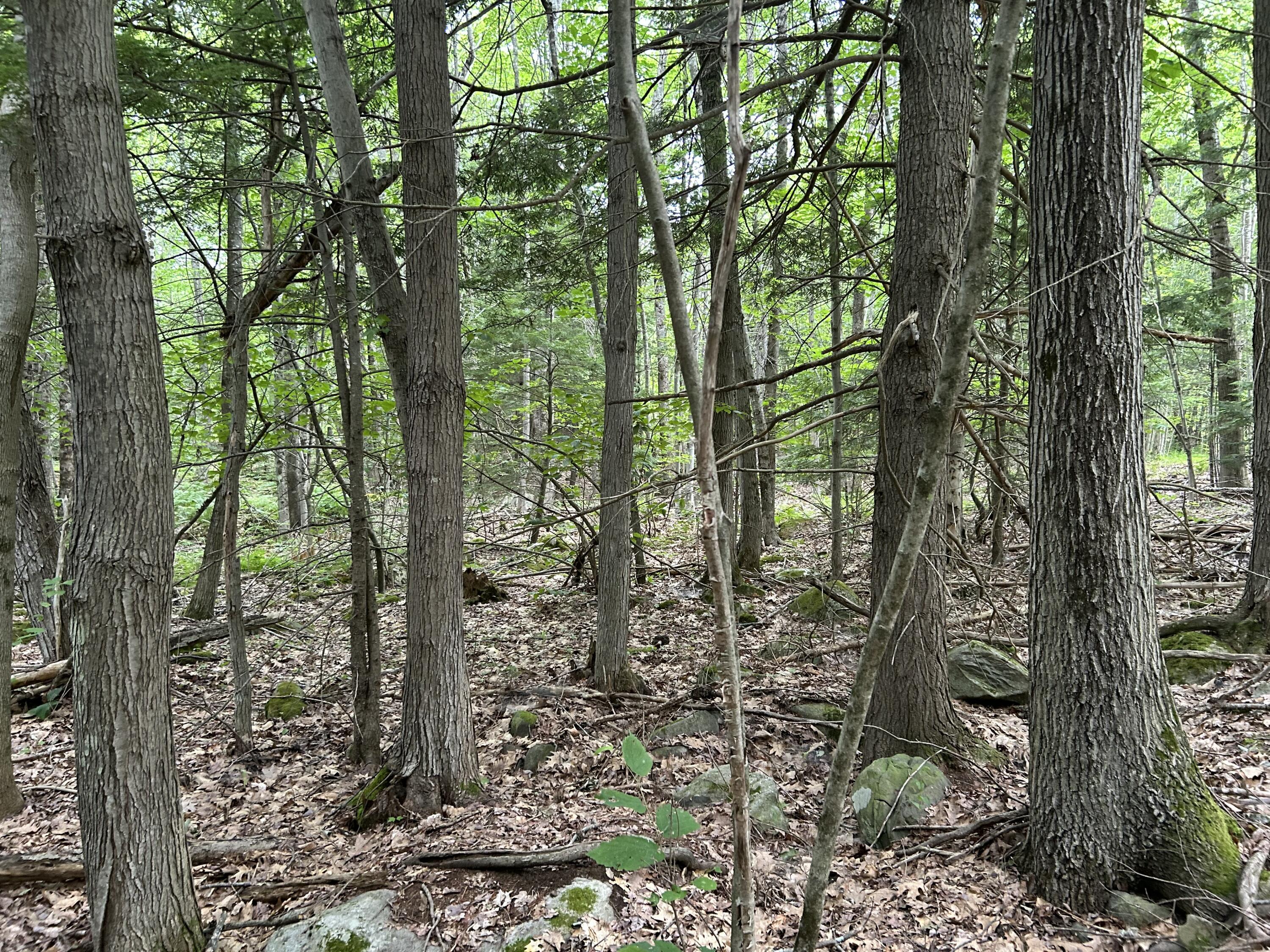 M7-l99h Bolton Hill Road Augusta, ME 04330 - Photo 13 of 30 31