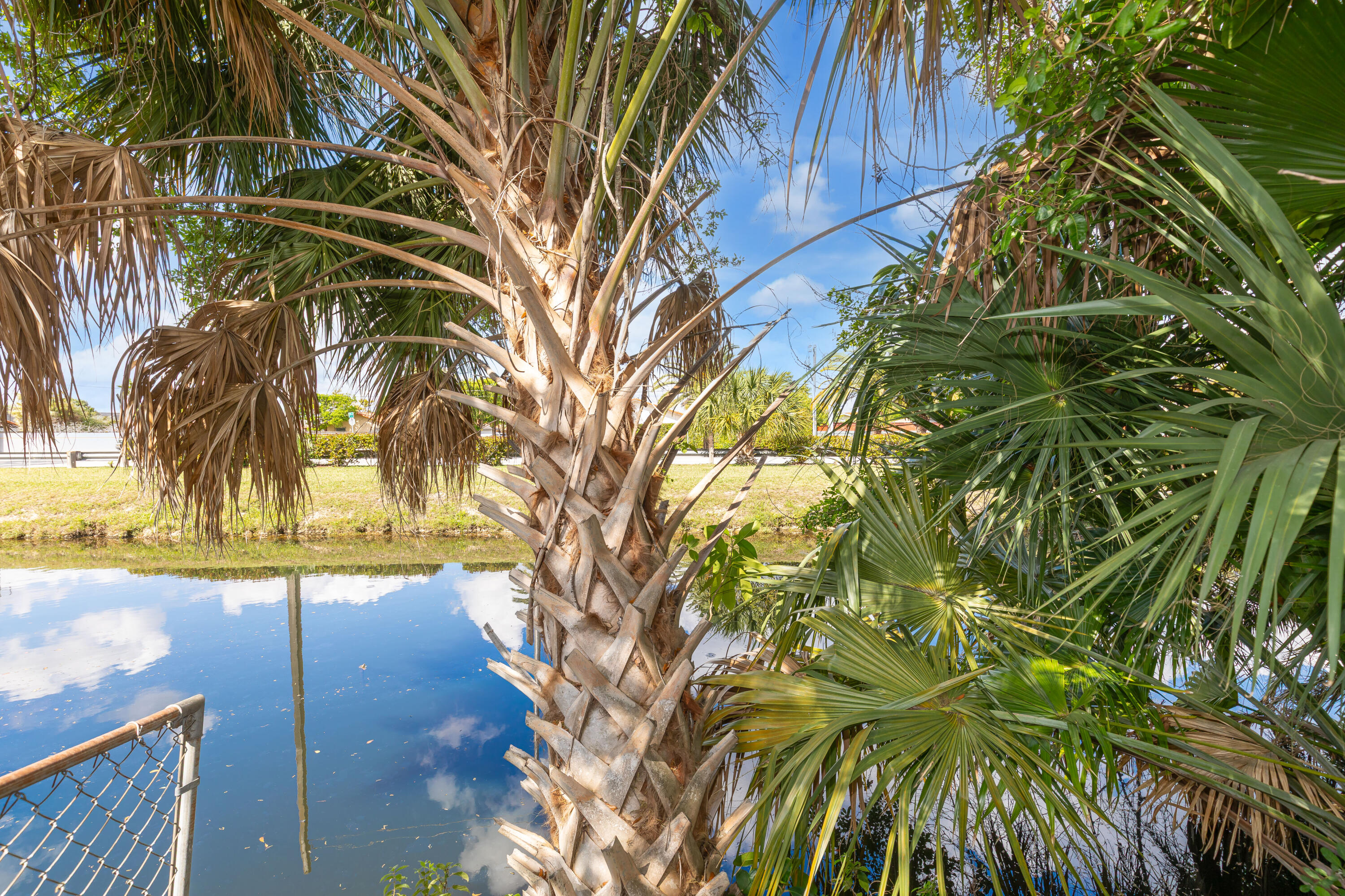406 Southwest 96th Court, Unit 2 Miami, FL 33174 - Photo 34 of 38 a picture of a yard