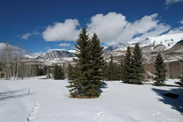 $5,900,000 | 101 Eagle Drive, Mountain Village, CO 81435