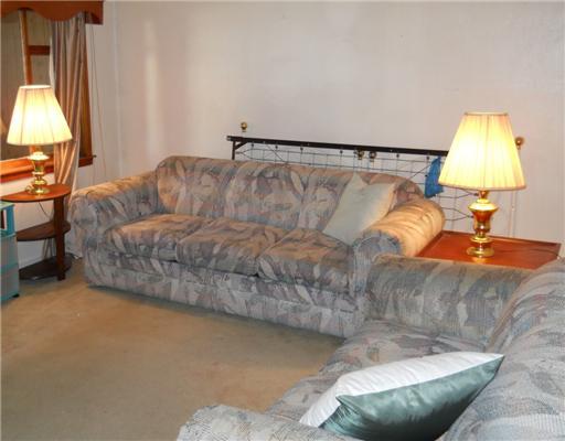 146 Orchard Street McKees Rocks, PA 15136 - Photo 8 of 10 Living Room. All furniture is included in the sale of this home.