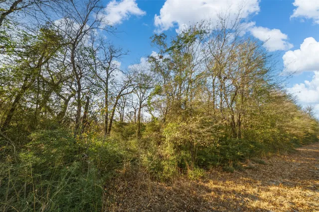 $159,000 | 979 Franklin Tx 77856, Franklin, TX 77856