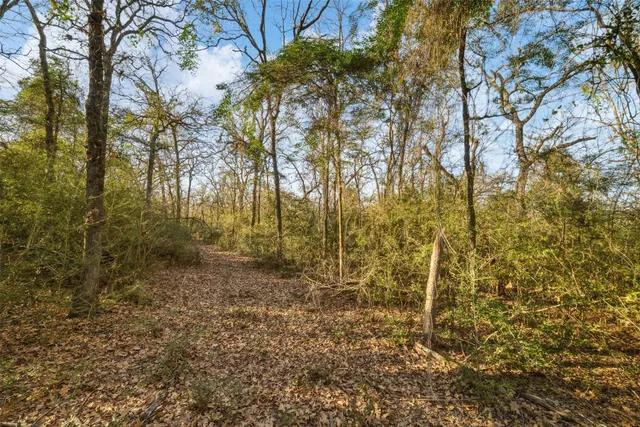 $159,000 | 979 Franklin Tx 77856, Franklin, TX 77856