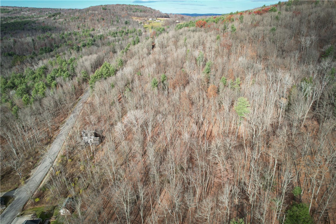 1188 Braybrook Road Chemung, NY 14861 - Photo 3 of 45