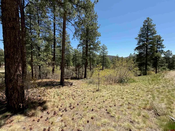 $399,000 | Tbd Ventana Pass, Durango, CO 81301