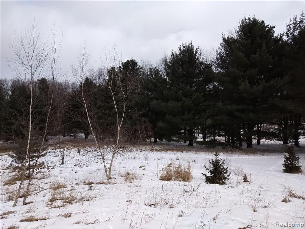 0 Smith Road Davison, MI 48423 - Photo 7 of 20 IMG_20190305_133103041_BURST000_COVER.jpg
