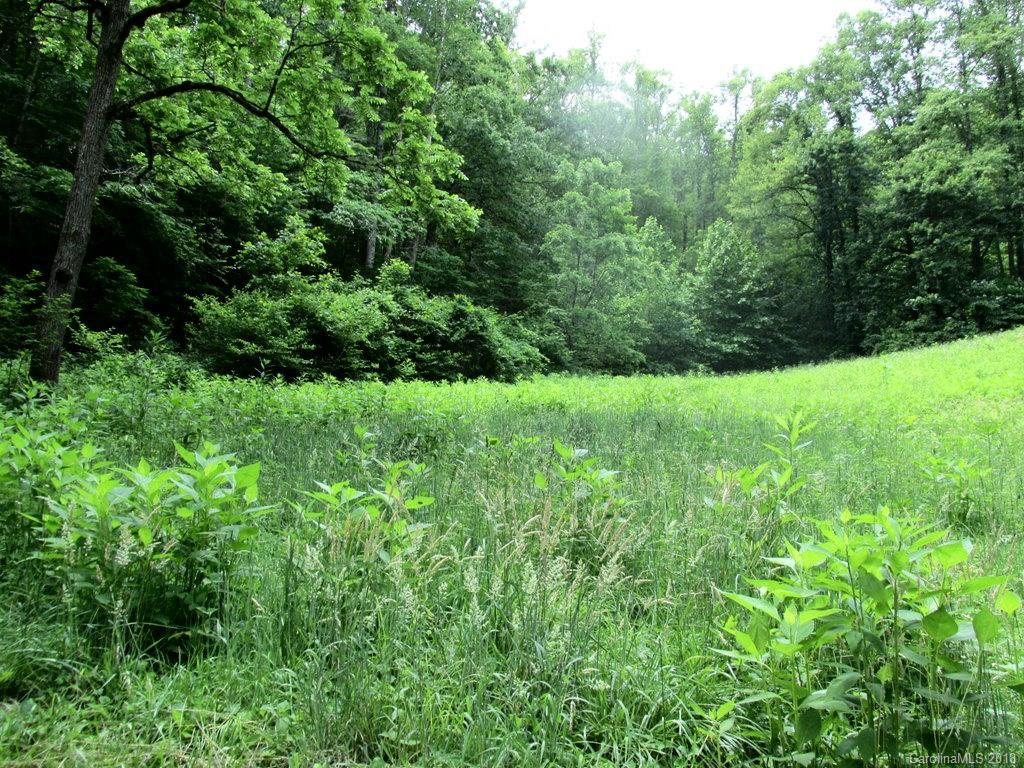 641 Rambling Road Cullowhee, NC 28723 - Photo 13 of 17 Gallery Image 13