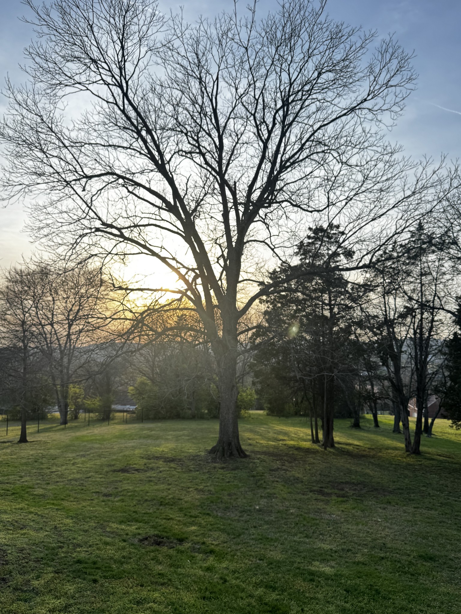 419 Alta Loma Road Goodlettsville, TN 37072 - Photo 3 of 4