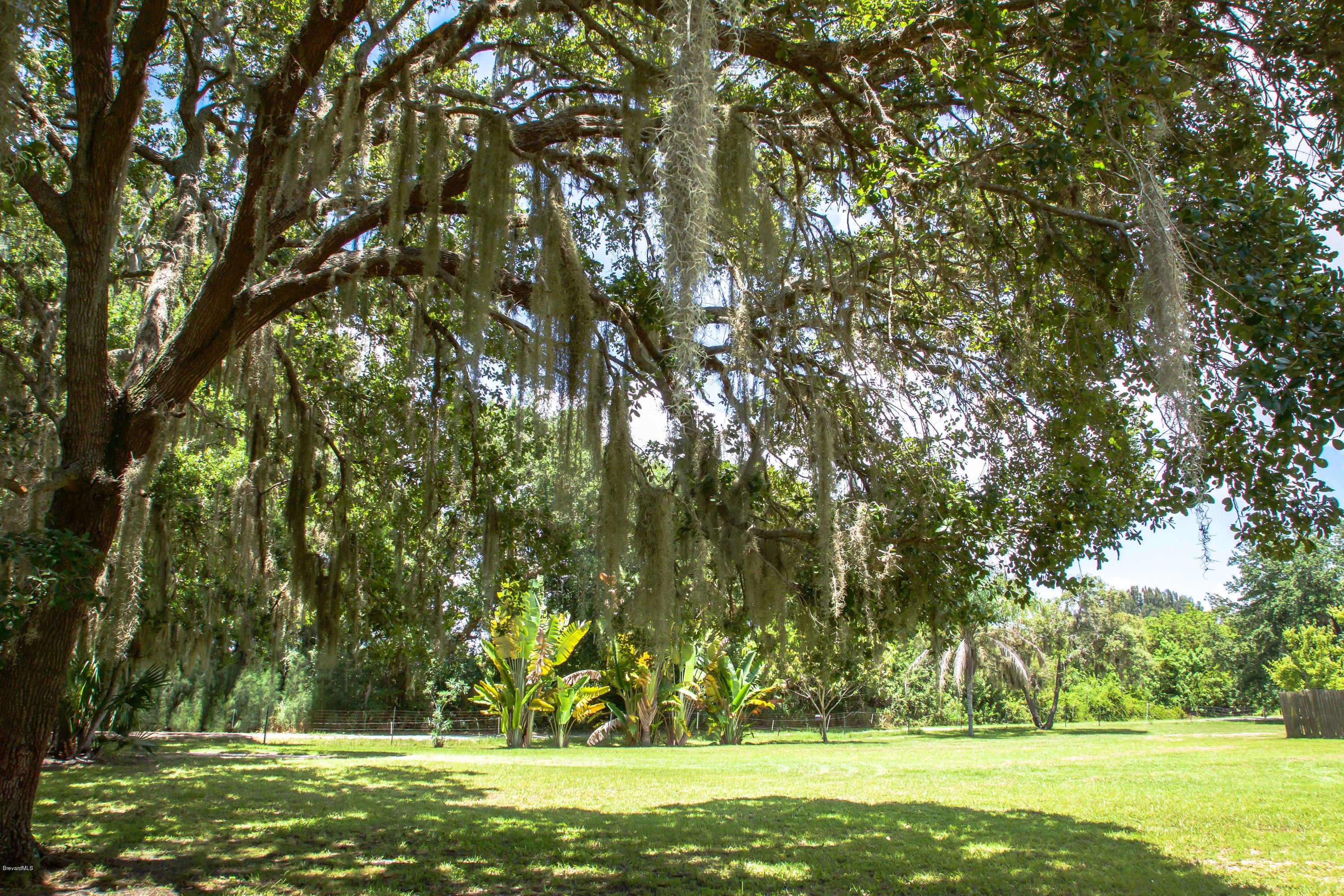 125 East Crisafulli Road Merritt Island, FL 32953 - Photo 41 of 57 DSC08536