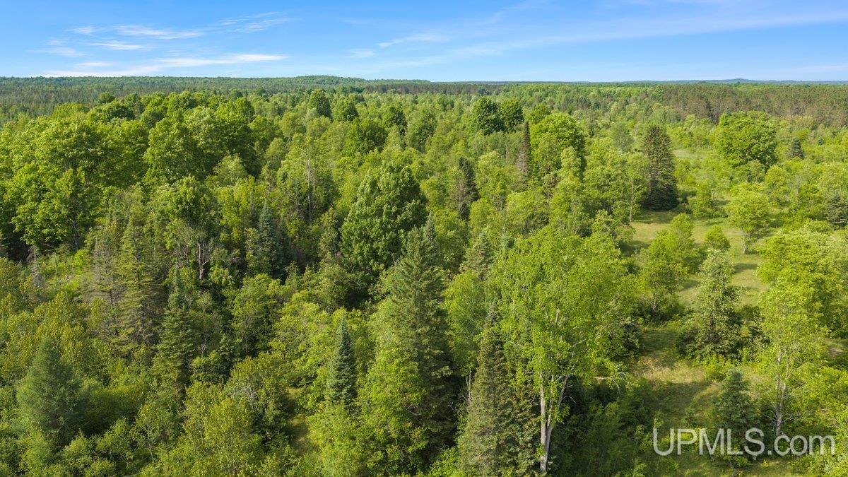 8789 38 Road Rapid River, MI 49878 - Photo 15 of 23