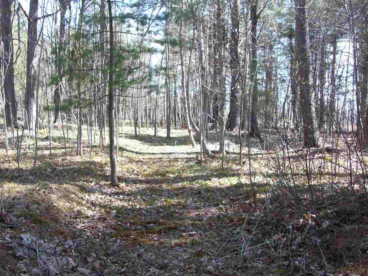 18 Becker Road Knox, NY 12023 - Photo 9 of 23 Photo 9