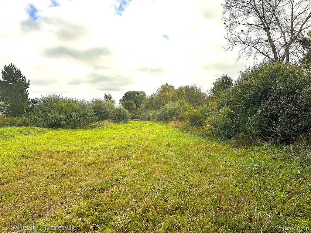 11 Siegel Road Emmett, MI 48022 - Photo 4 of 5