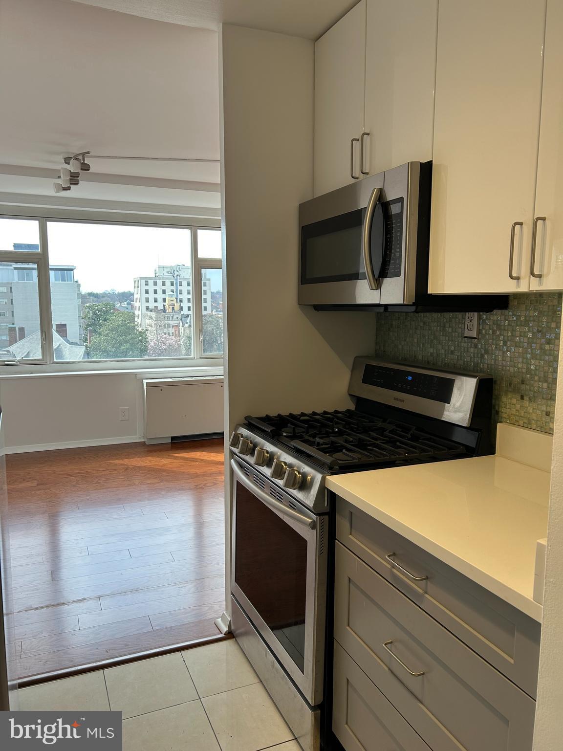 1545 18th Street Northwest, Unit 822 Washington, DC 20036 - Photo 13 of 18 View from the kitchen