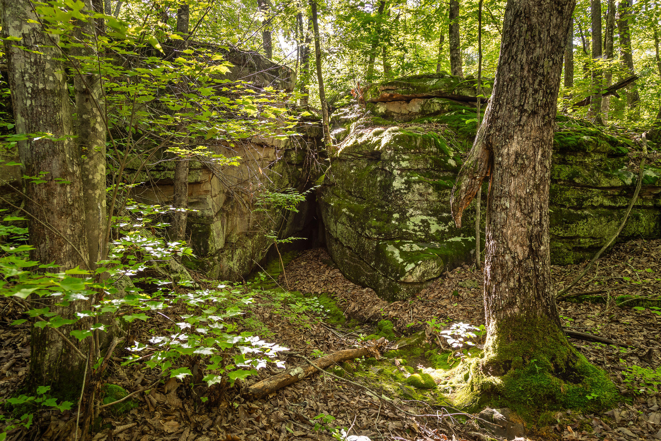 0 Brayton Road, Unit 15 Graysville, TN 37338 - Photo 12 of 14 Roaring Creek Farms-115