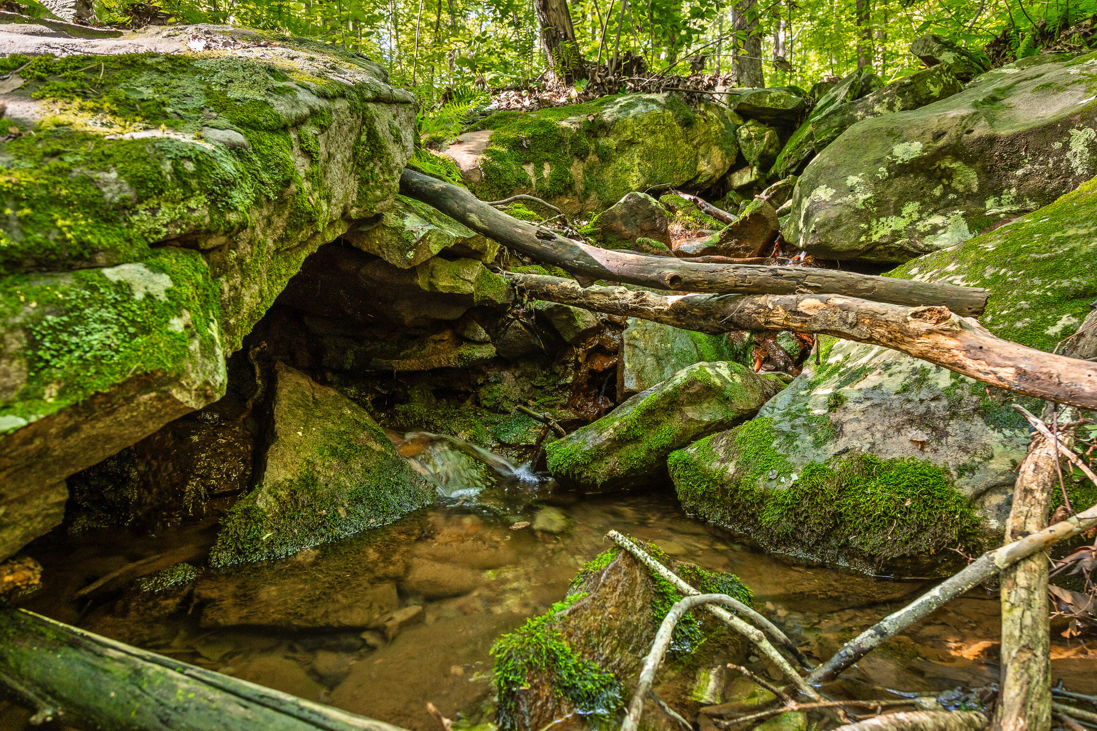 0 Brayton Road, Unit 15 Graysville, TN 37338 - Photo 13 of 14 Roaring Creek Farms-118