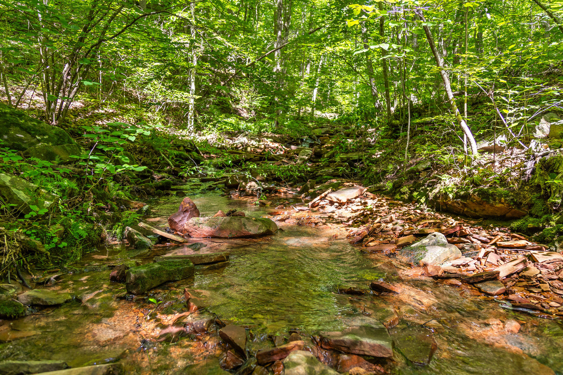 0 Brayton Road, Unit 15 Graysville, TN 37338 - Photo 2 of 14 Roaring Creek Farms-155