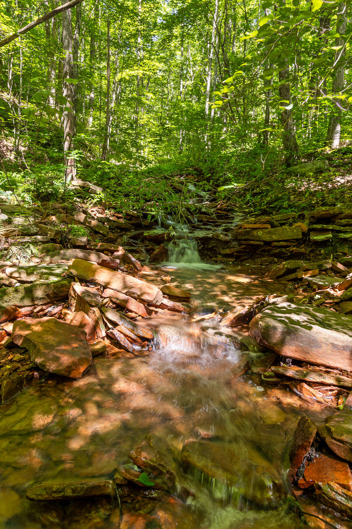 0 Brayton Road, Unit 15 Graysville, TN 37338 - Photo 3 of 14 Roaring Creek Farms-159