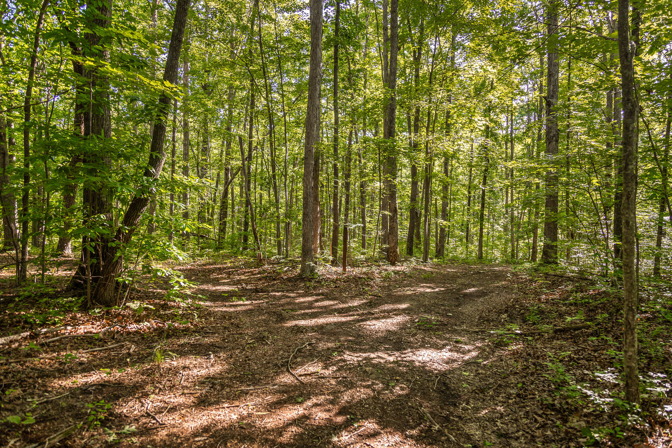 0 Brayton Road, Unit 15 Graysville, TN 37338 - Photo 6 of 14 Roaring Creek Farms-97