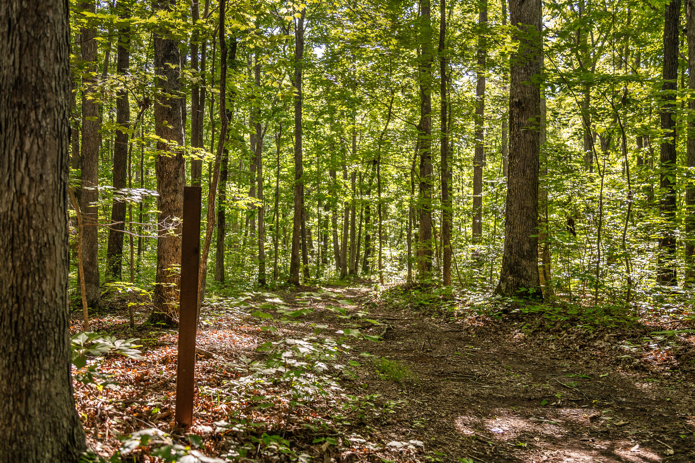 0 Brayton Road, Unit 15 Graysville, TN 37338 - Photo 7 of 14 Roaring Creek Farms-98