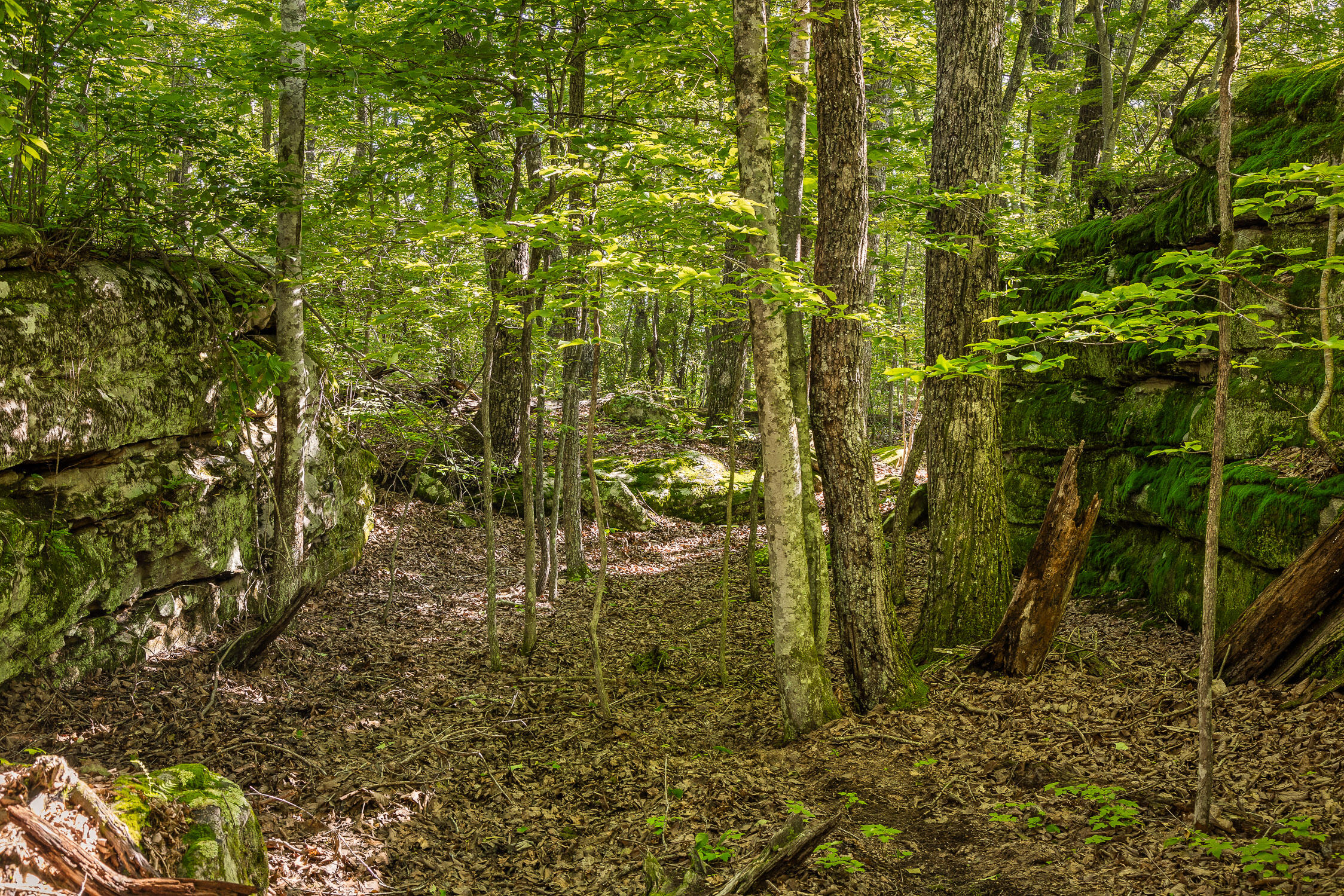 0 Brayton Road, Unit 15 Graysville, TN 37338 - Photo 10 of 14 Roaring Creek Farms-110