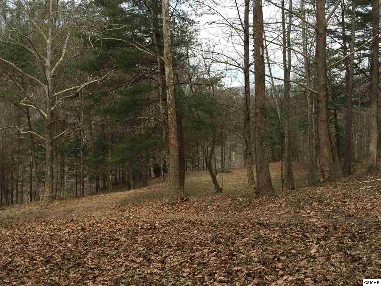 1 Wears Valley Road Sevierville, TN 37862 - Photo 1 of 6