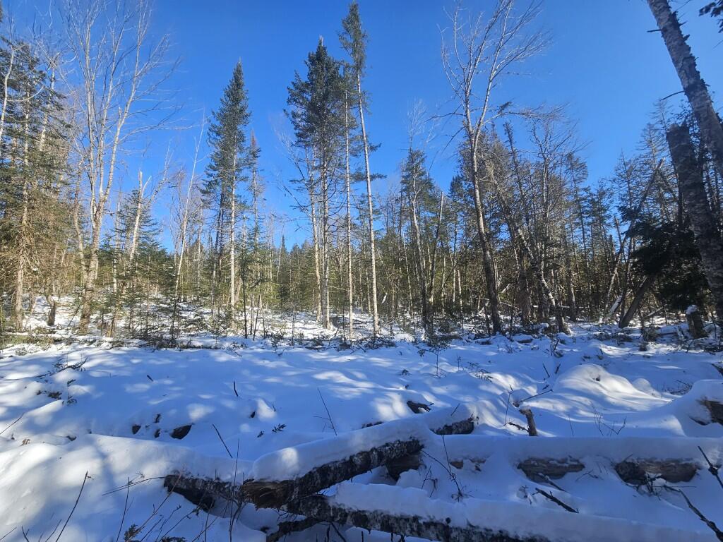 104 Town Road Lagrange, ME 04453 - Photo 24 of 30 20 North Lot