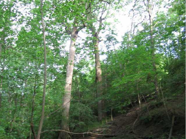 3442 Old Stage Road, Unit LOT 1 Spring Valley, OH 45370 - Photo 2 of 5