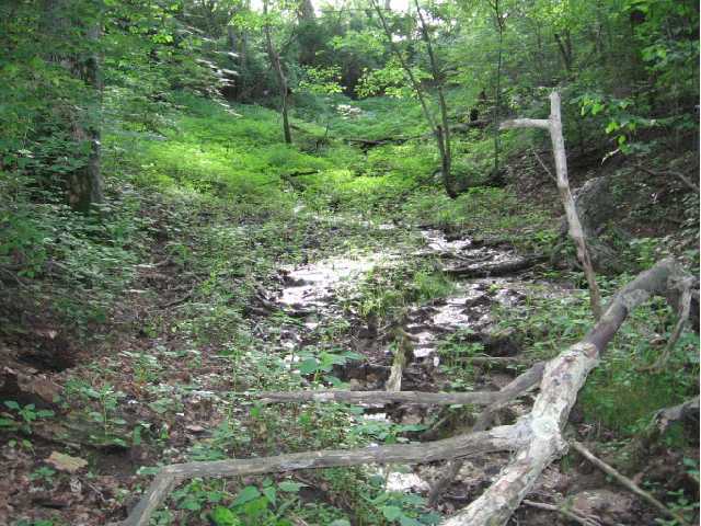 3442 Old Stage Road, Unit LOT 1 Spring Valley, OH 45370 - Photo 4 of 5