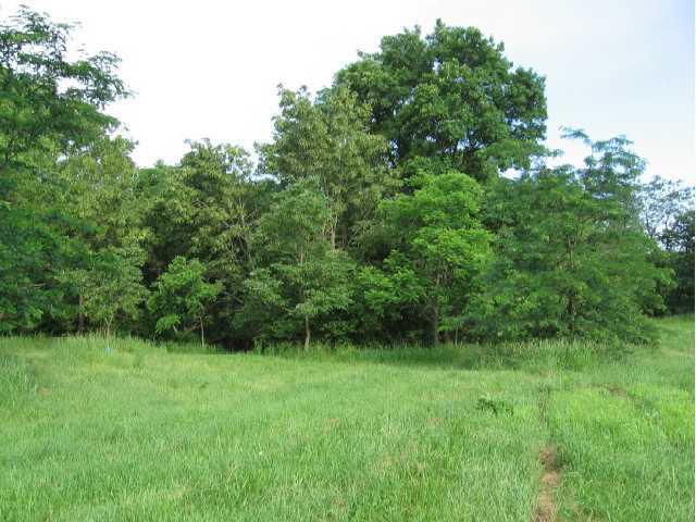 3442 Old Stage Road, Unit LOT 1 Spring Valley, OH 45370 - Photo 5 of 5