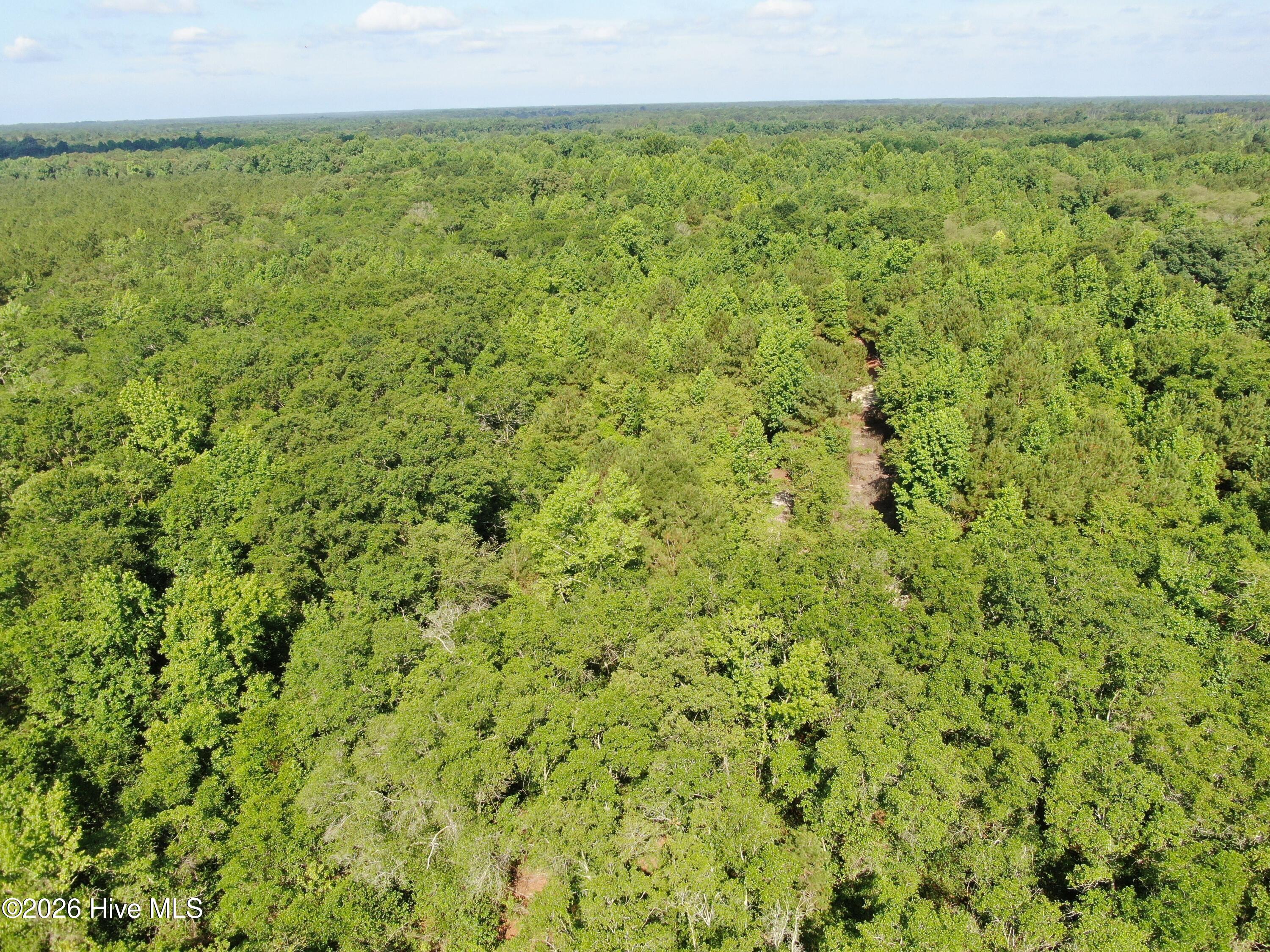 Tbd Oliver Carlton Road Warsaw, NC 28398 - Photo 14 of 15