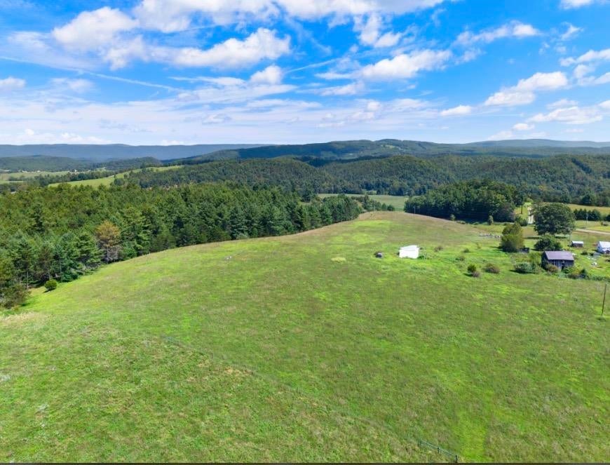 1485 Price Ridge Road Bland, VA 24315 - Photo 16 of 87 Gallery Image 16