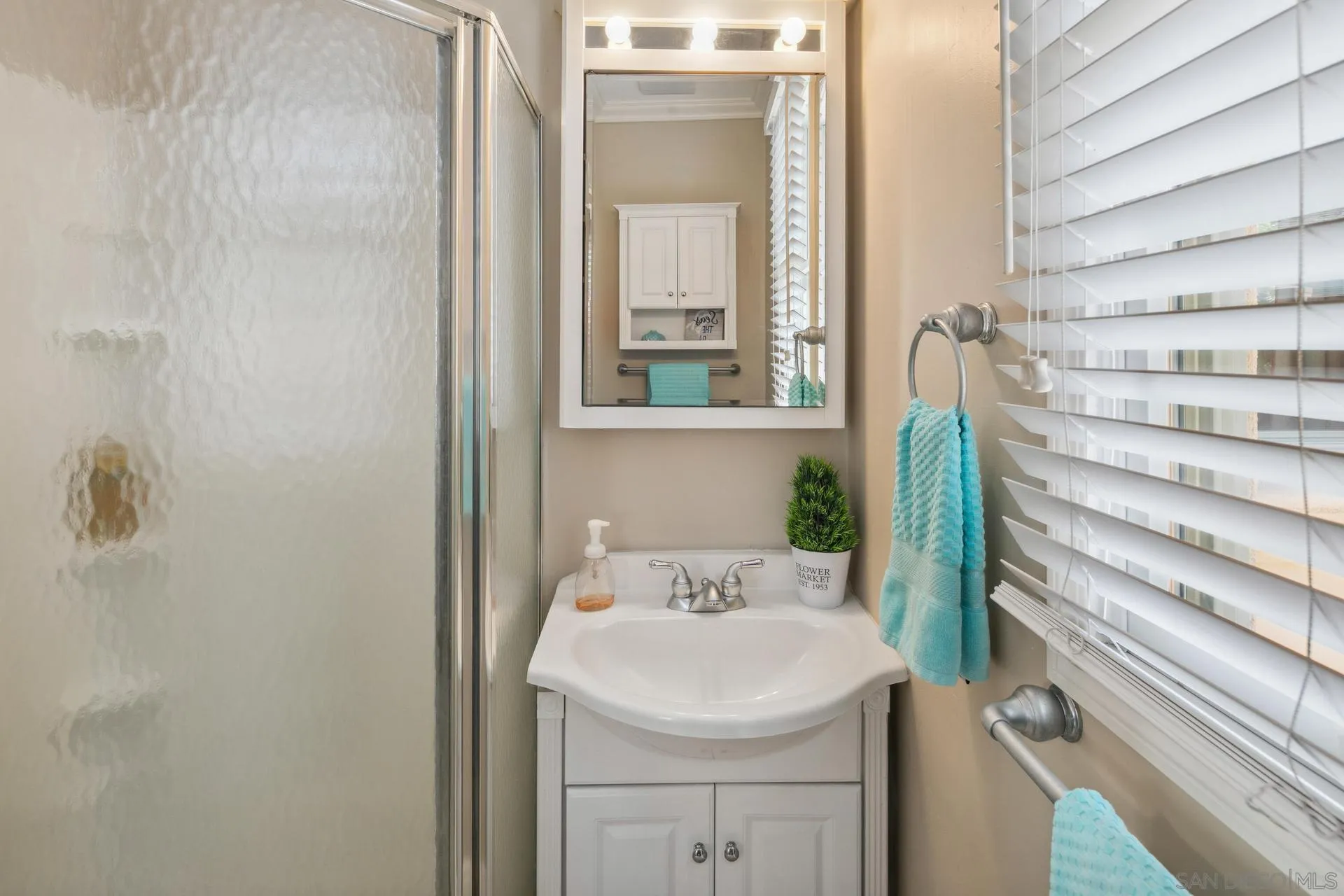 1100 Pine Street Coronado, CA 92118 - Photo 38 of 57 a bathroom with a sink and a mirror