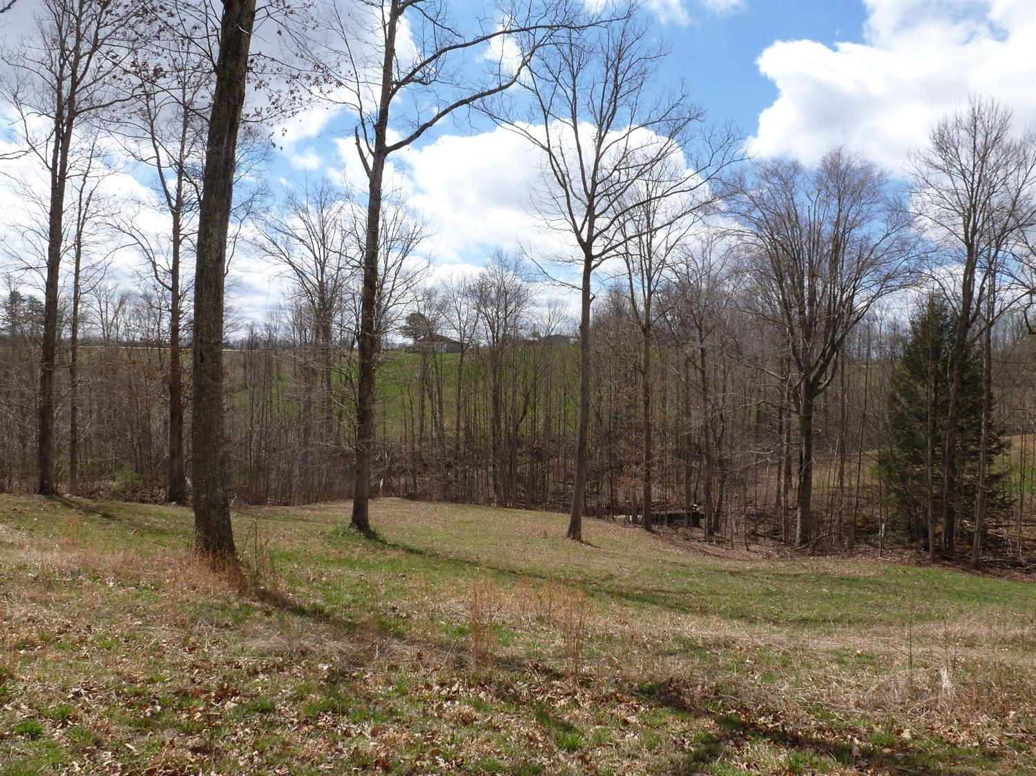 3821 Amos Ridge Road Frenchburg, KY 40322 - Photo 46 of 88 Photo 46
