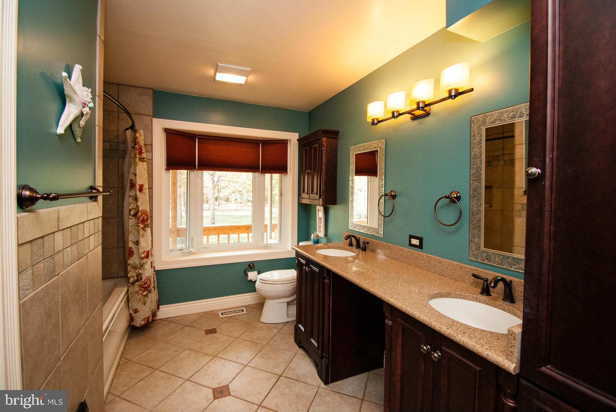 4122 Sumerduck Road Sumerduck, VA 22742 - Photo 26 of 30 Bath (Master)