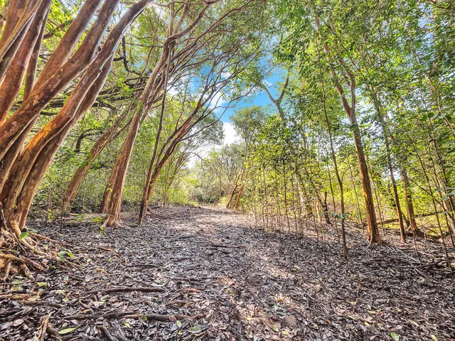 $1,450,000 | 87-1081 Haleili Road, Captain Cook, HI 96704