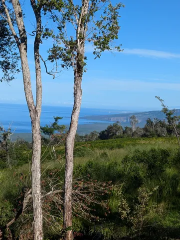 $1,450,000 | 87-1081 Haleili Road, Captain Cook, HI 96704