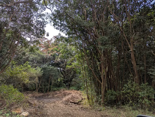 $1,450,000 | 87-1081 Haleili Road, Captain Cook, HI 96704