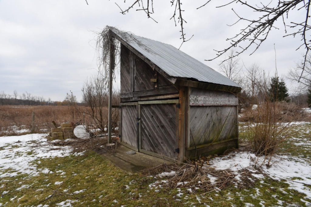 6144 Jason Road St. Johns, MI 48879 - Photo 23 of 24 _ shed Laingsburg_0500_edited-1-XL