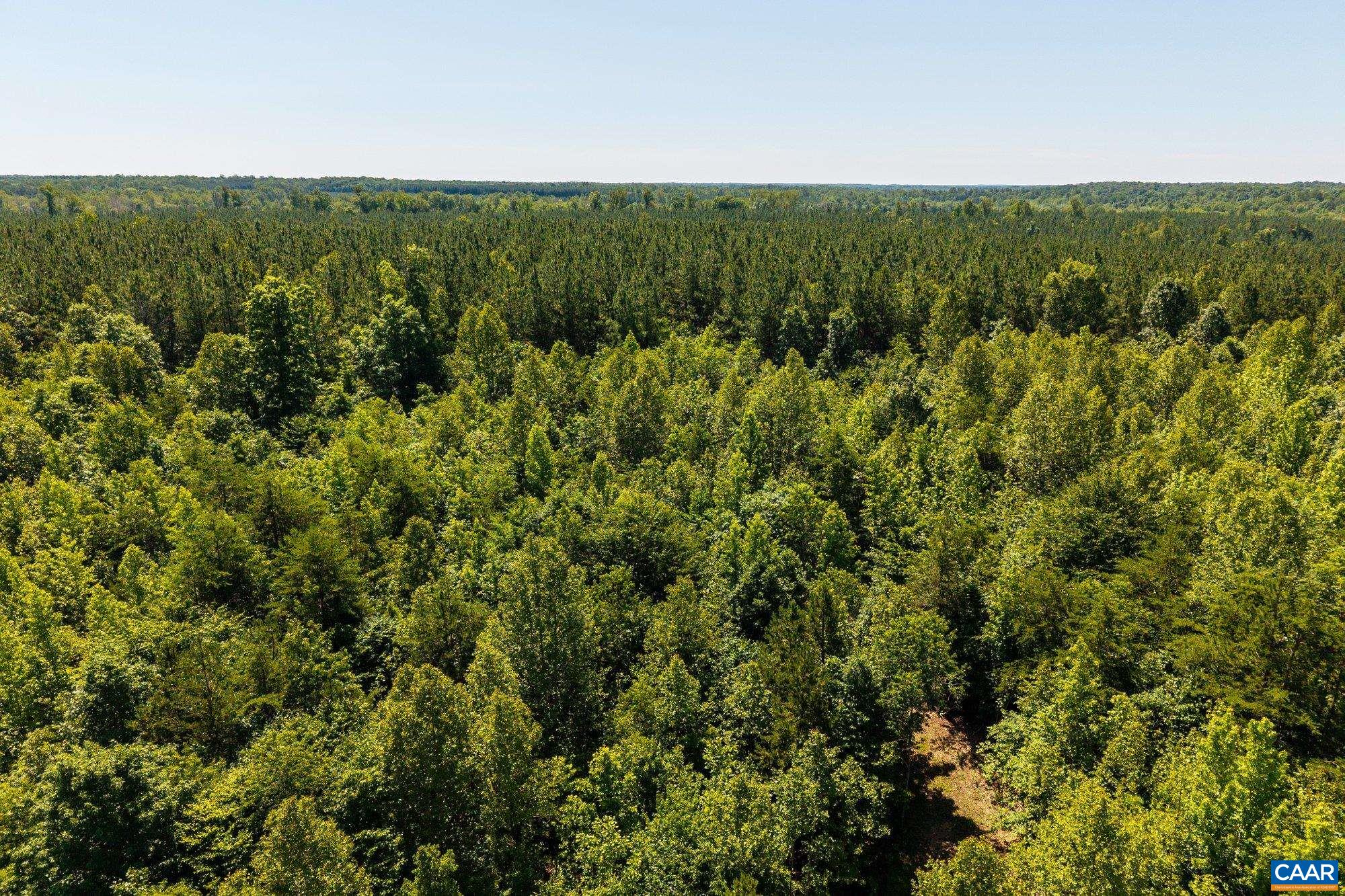 1 Cross County Road Mineral, VA 23117 - Photo 61 of 61